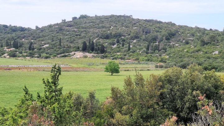 Land For sale - Splitsko-dalmatinska Vis - foto 2/2