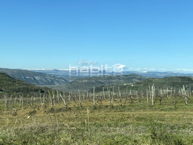 Terrain À vendre - Istarska Motovun - foto 5/11
