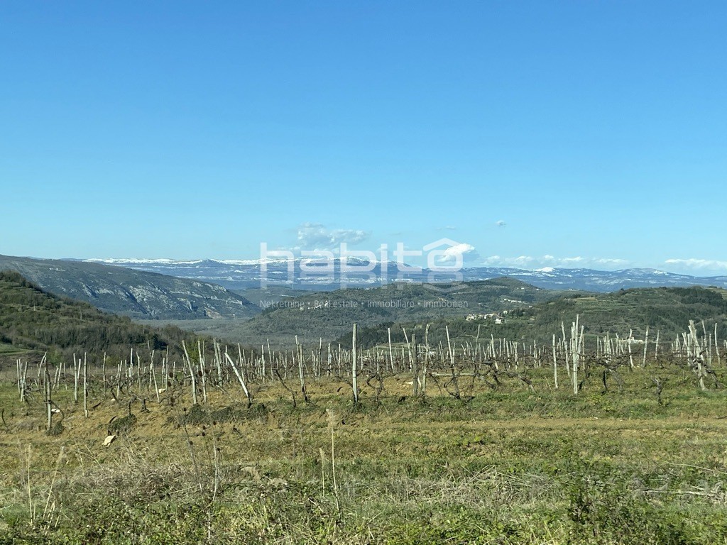 Terreno In vendita - ISTARSKA MOTOVUN