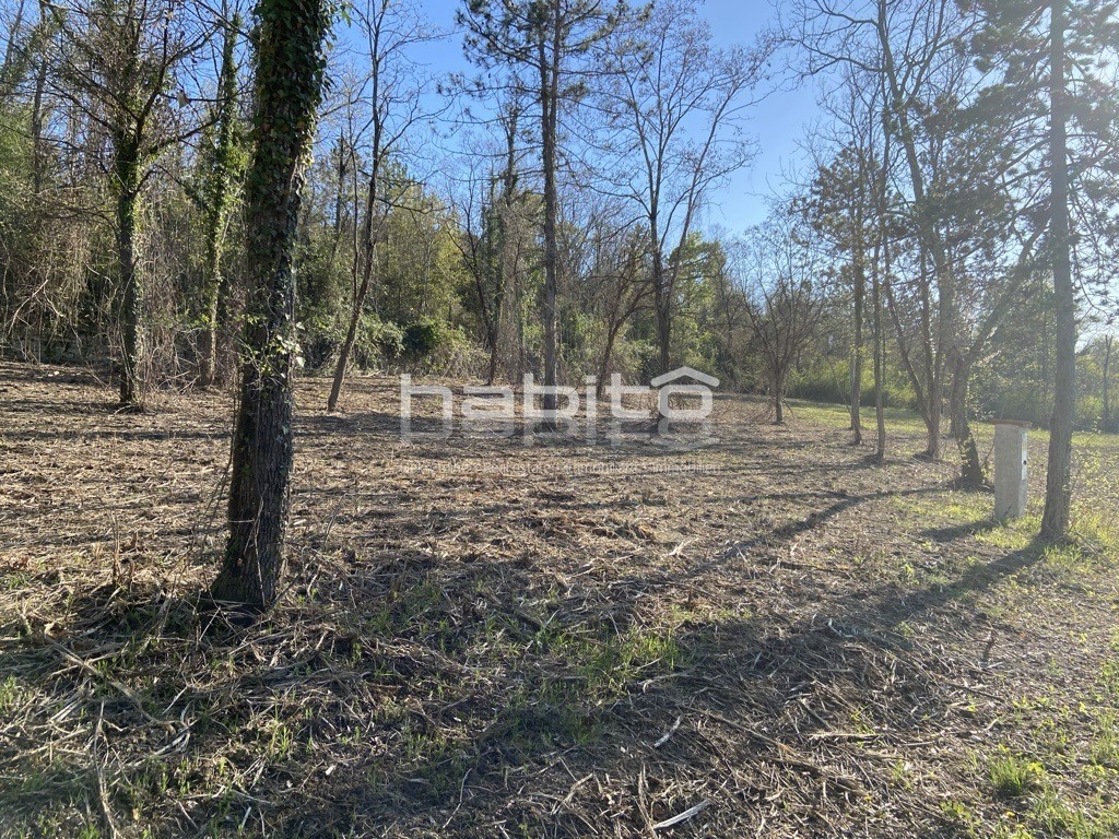 Terreno In vendita - ISTARSKA MOTOVUN