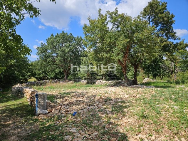 Terreno In vendita - Istarska Poreč - foto 2/12