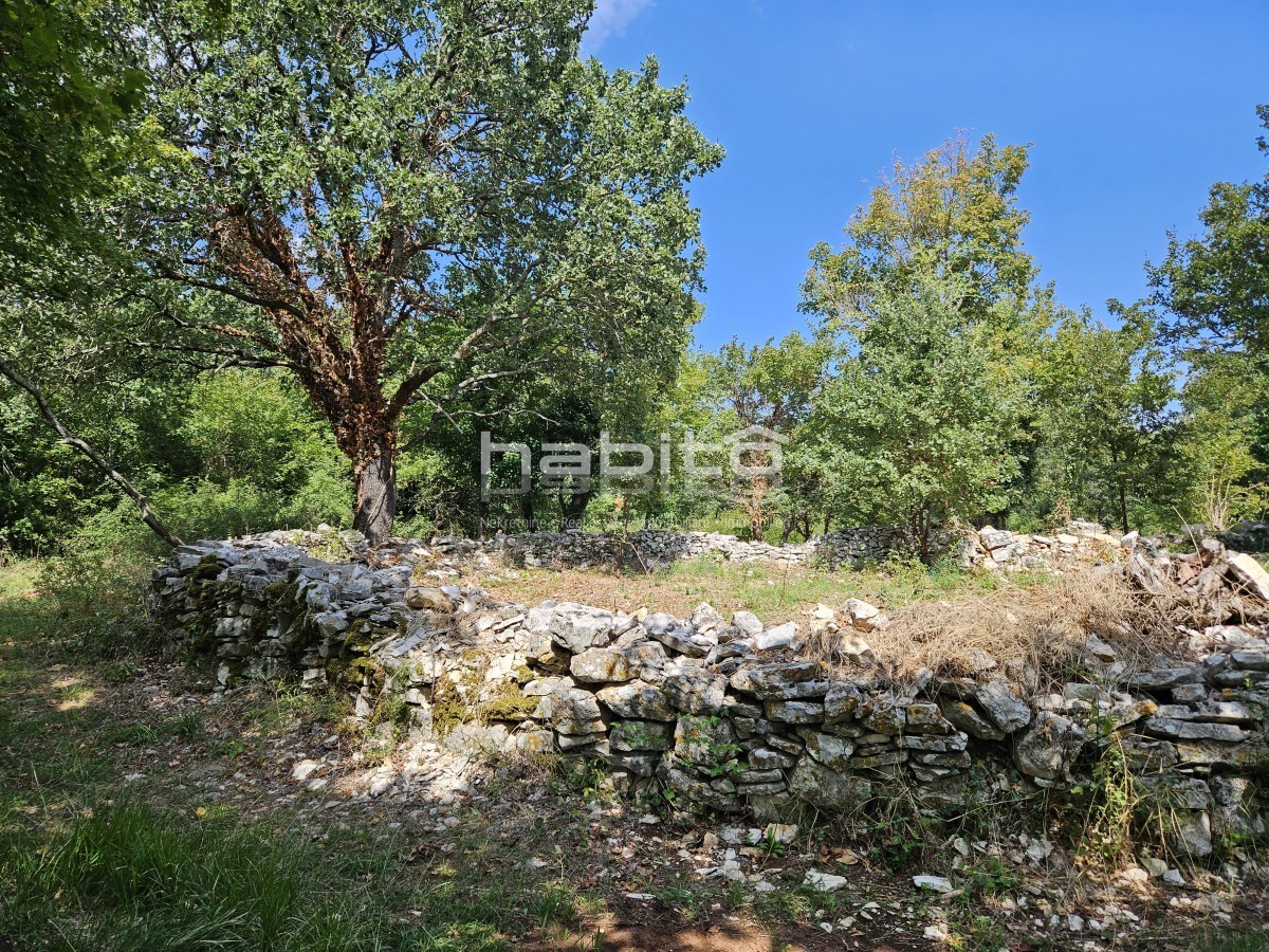 Zemljište Na prodaju - Istarska Poreč - foto 4/12