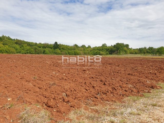 Grundstück zu verkaufen 47489 m² – Poreč
