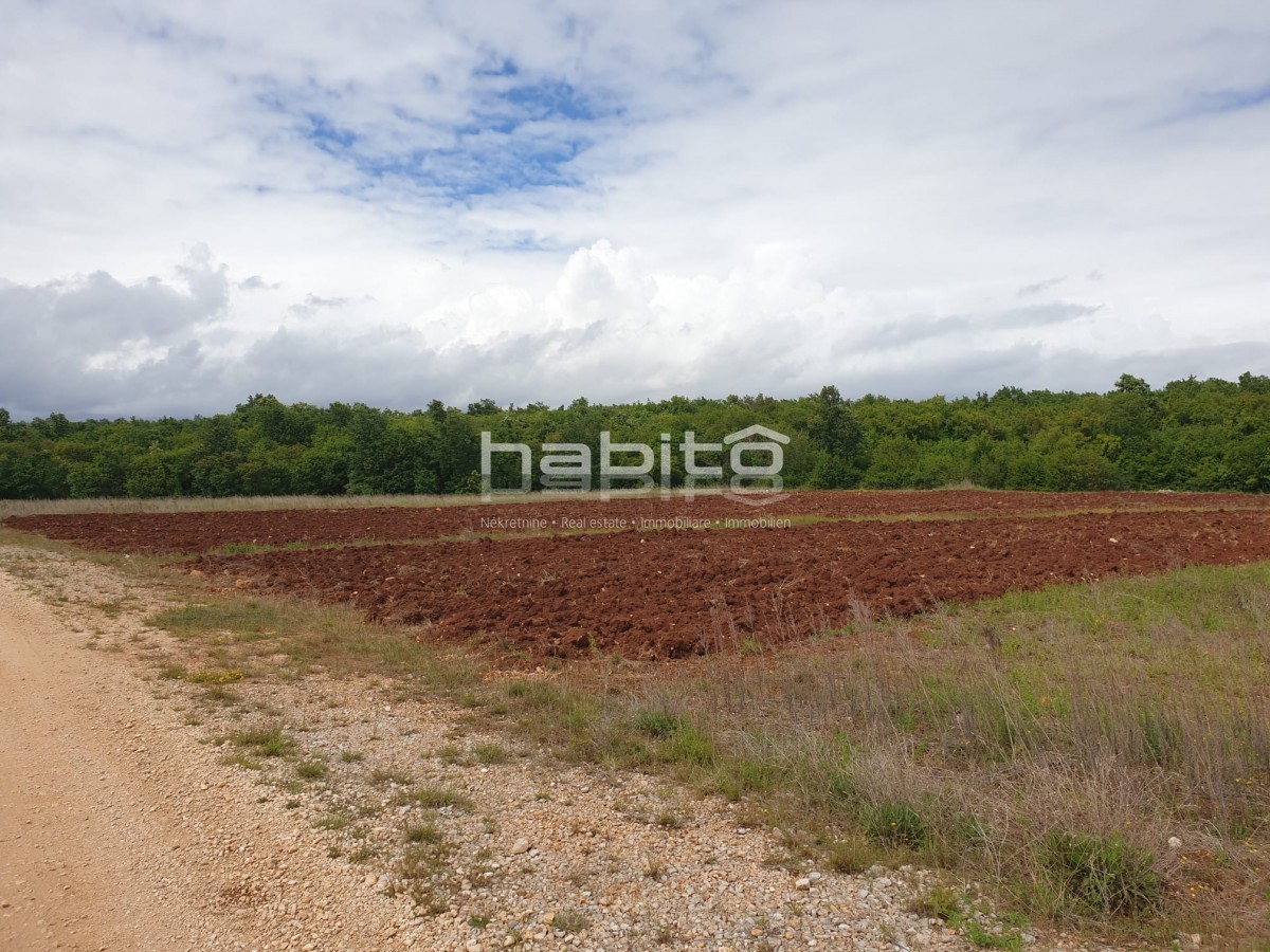 Terreno In vendita - ISTARSKA Poreč