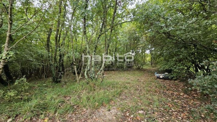 Grundstück zu verkaufen 1129 m² – Poreč