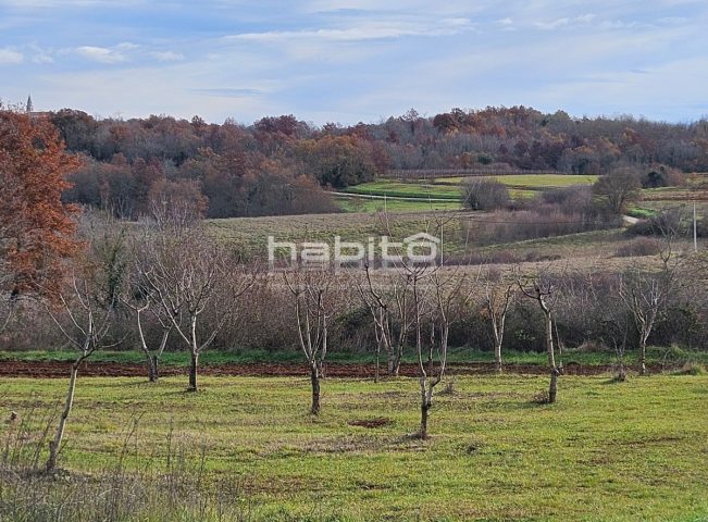 Grundstück zu verkaufen 3006 m² – Poreč
