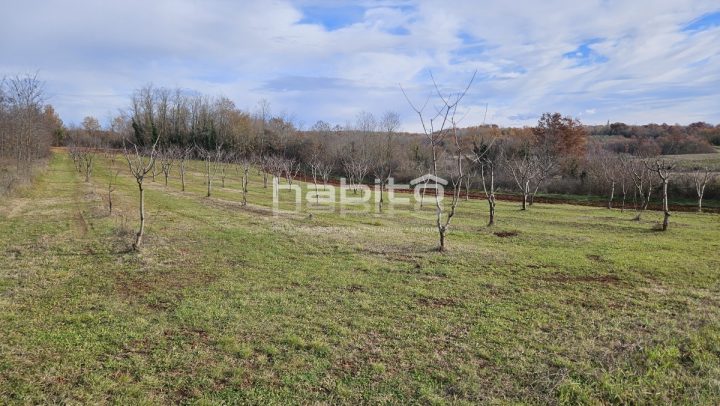 Pozemok Na predaj - Istarska Poreč - foto 2/6
