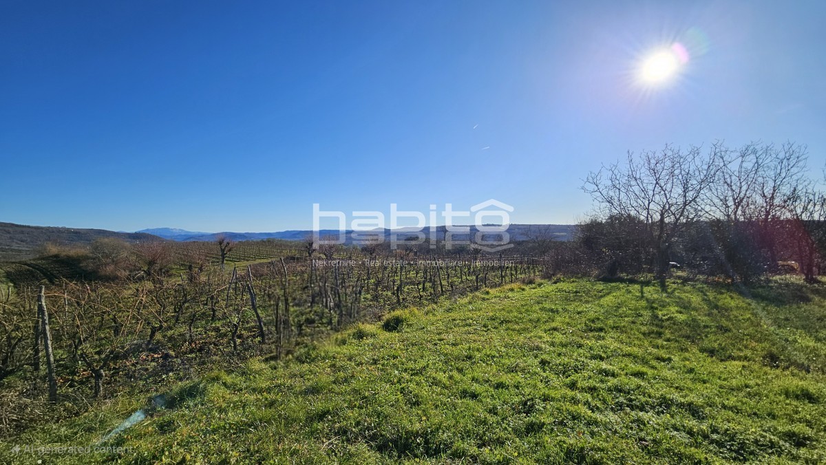 Land For sale - ISTARSKA GROžNJAN