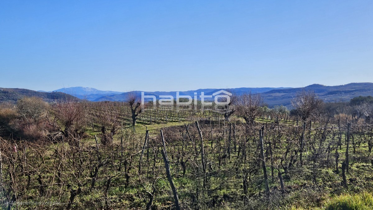 Dom Na predaj - ISTARSKA GROžNJAN
