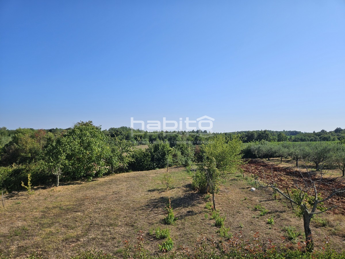 House For sale - ISTARSKA POREč
