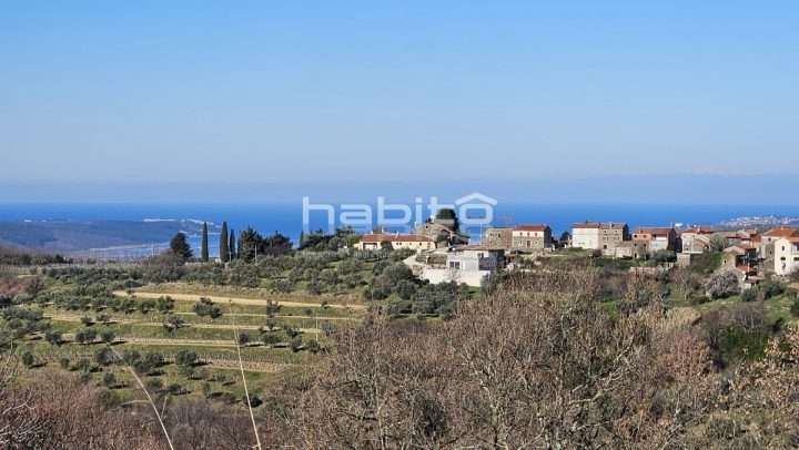 House For sale — Momjan