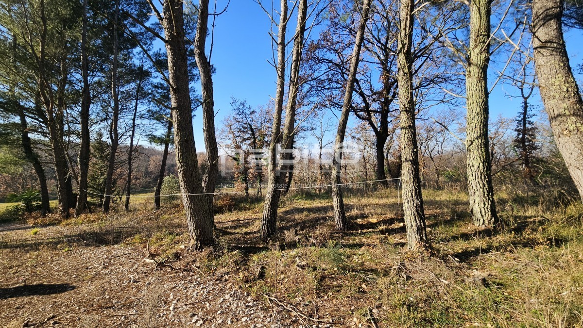 Grundstück Zu verkaufen - Istarska Poreč - foto 1/8
