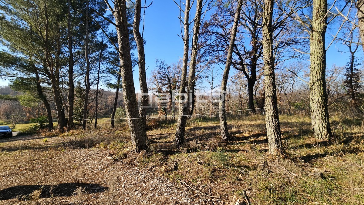 Grundstück Zu verkaufen - Istarska Poreč - foto 2/8