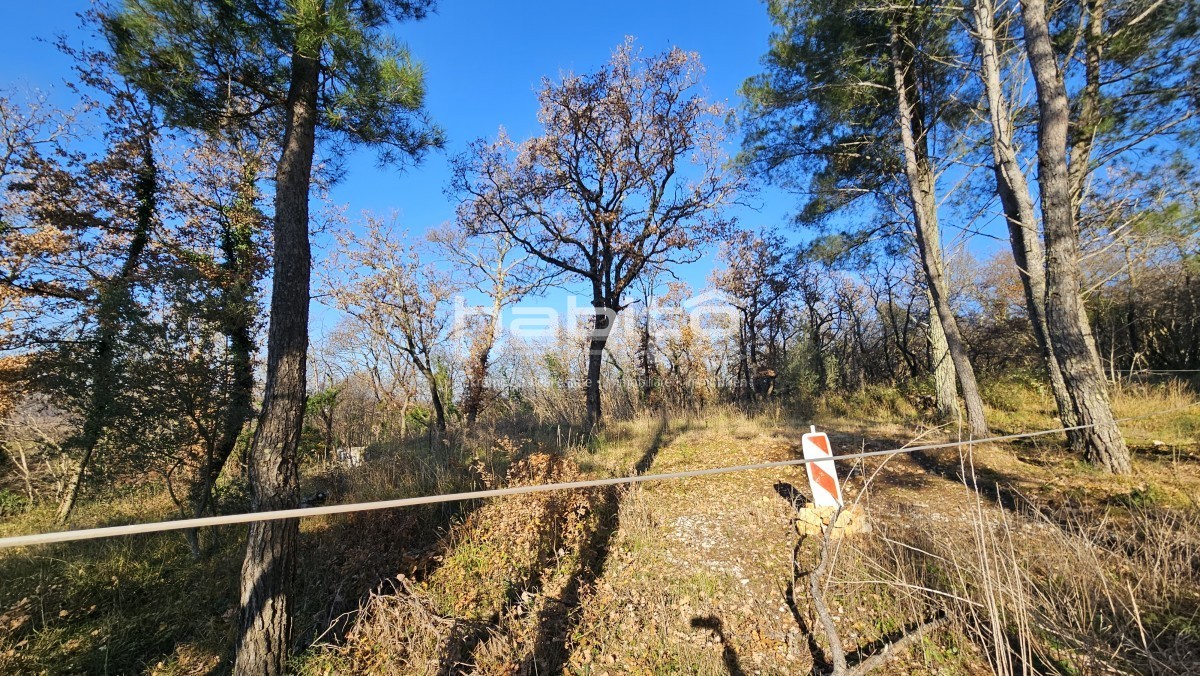 Grundstück Zu verkaufen - Istarska Poreč - foto 5/8
