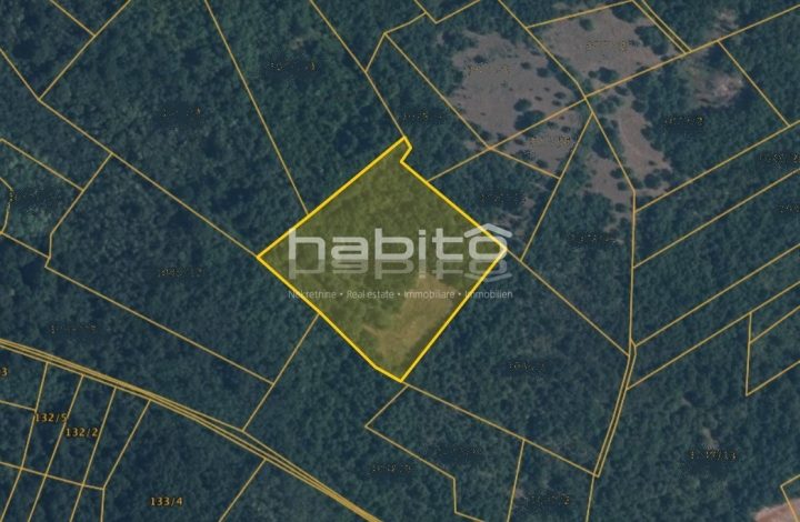 Terreno in vendita 11157 m² – Višnjan