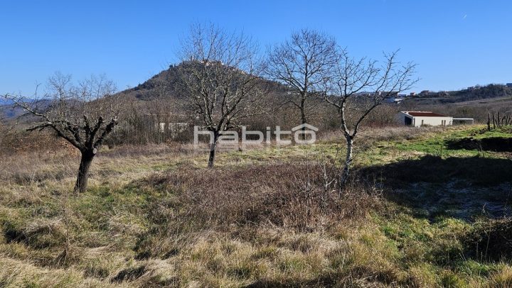 Parcela na predaj 5515 m² – Motovun
