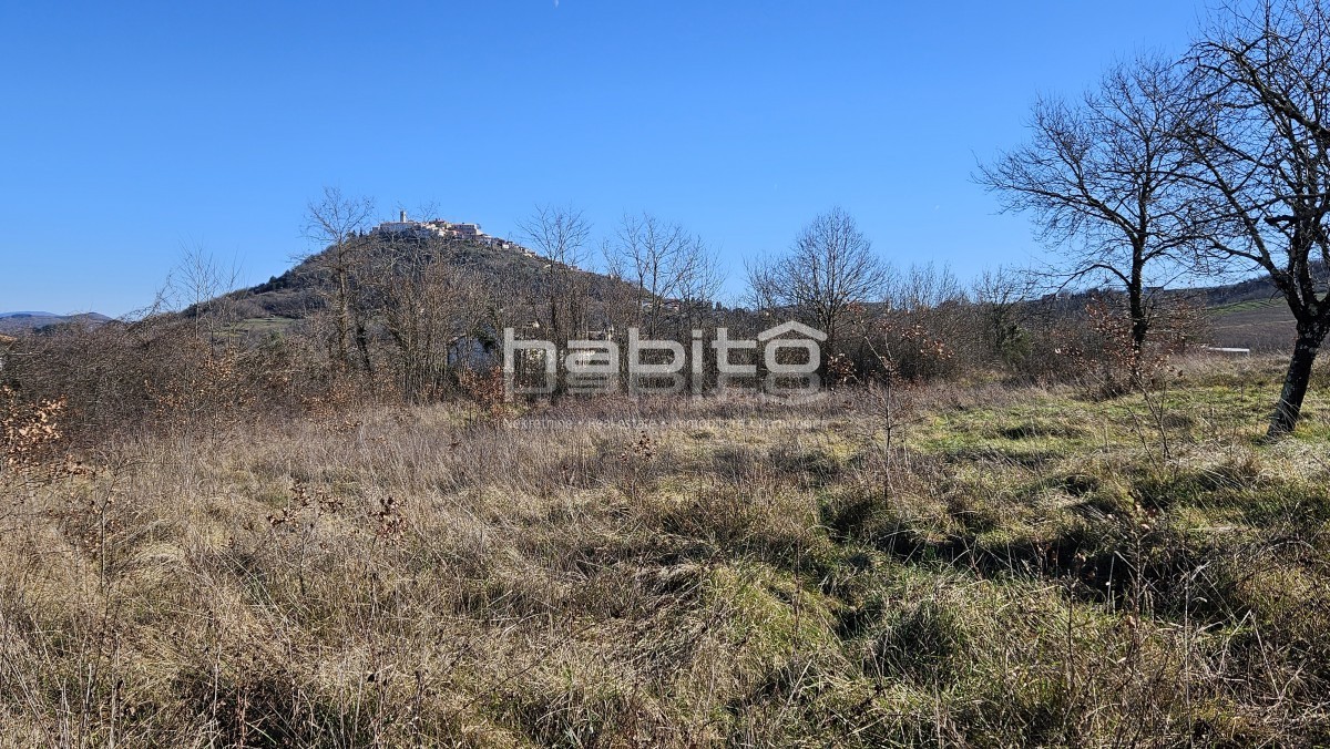 Terrain À vendre - Istarska Motovun - foto 2/7