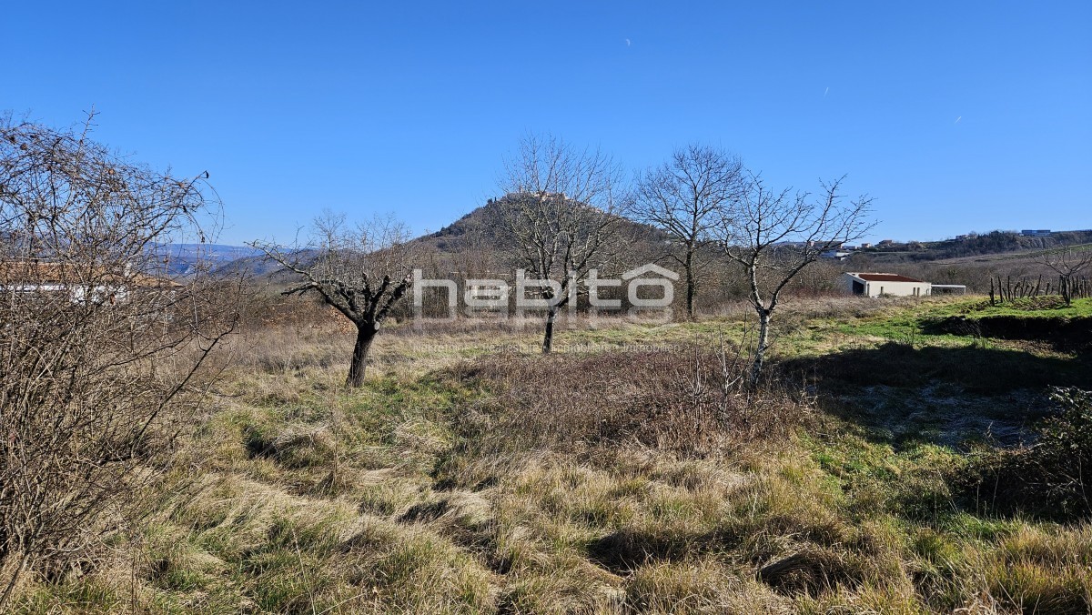 Terrain À vendre - Istarska Motovun - foto 3/7