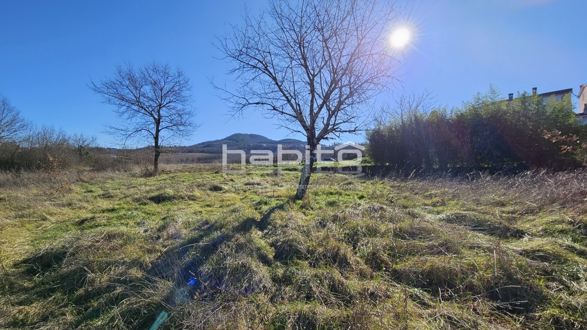 Terrain À vendre - Istarska Motovun - foto 4/7