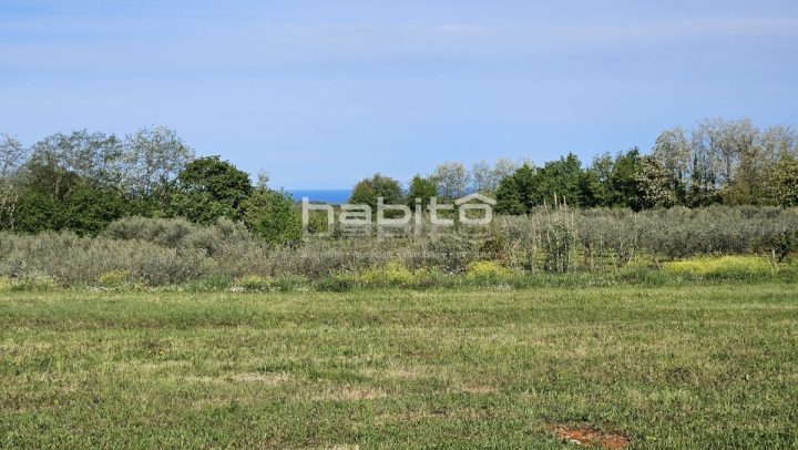 Grundstück zu verkaufen 2500 m² – Poreč