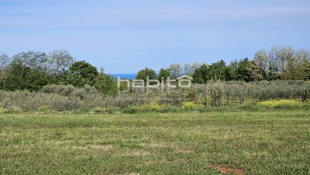 Działka Na sprzedaż - Istarska Poreč - foto 1/10