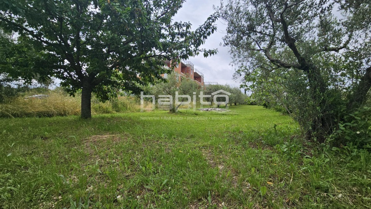 Terrain À vendre - Istarska Poreč - foto 2/5