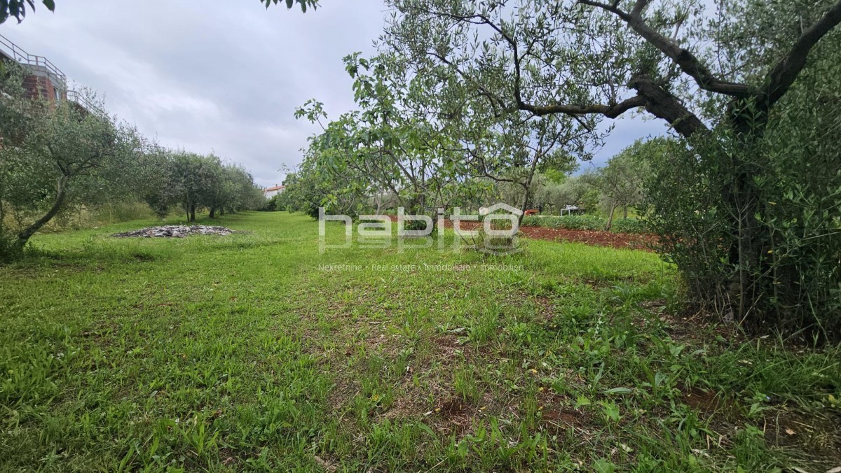 Terrain À vendre - Istarska Poreč - foto 3/5