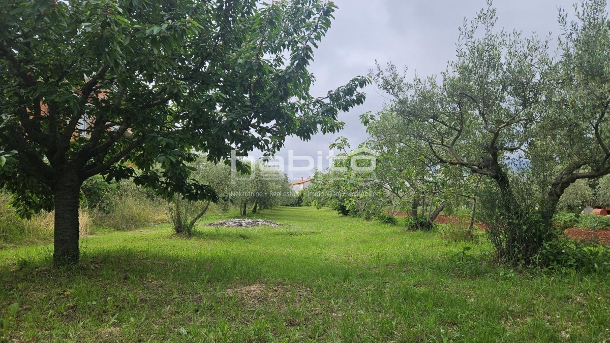 Terrain À vendre - Istarska Poreč - foto 4/5