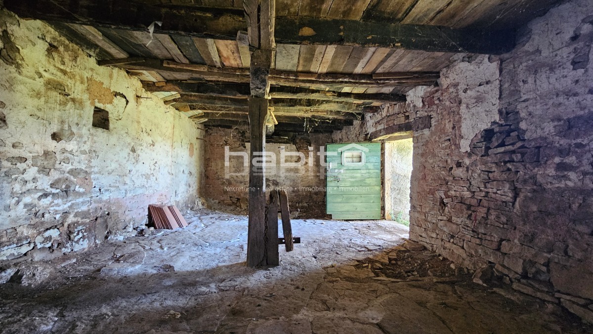 House For sale - ISTARSKA OPRTALJ