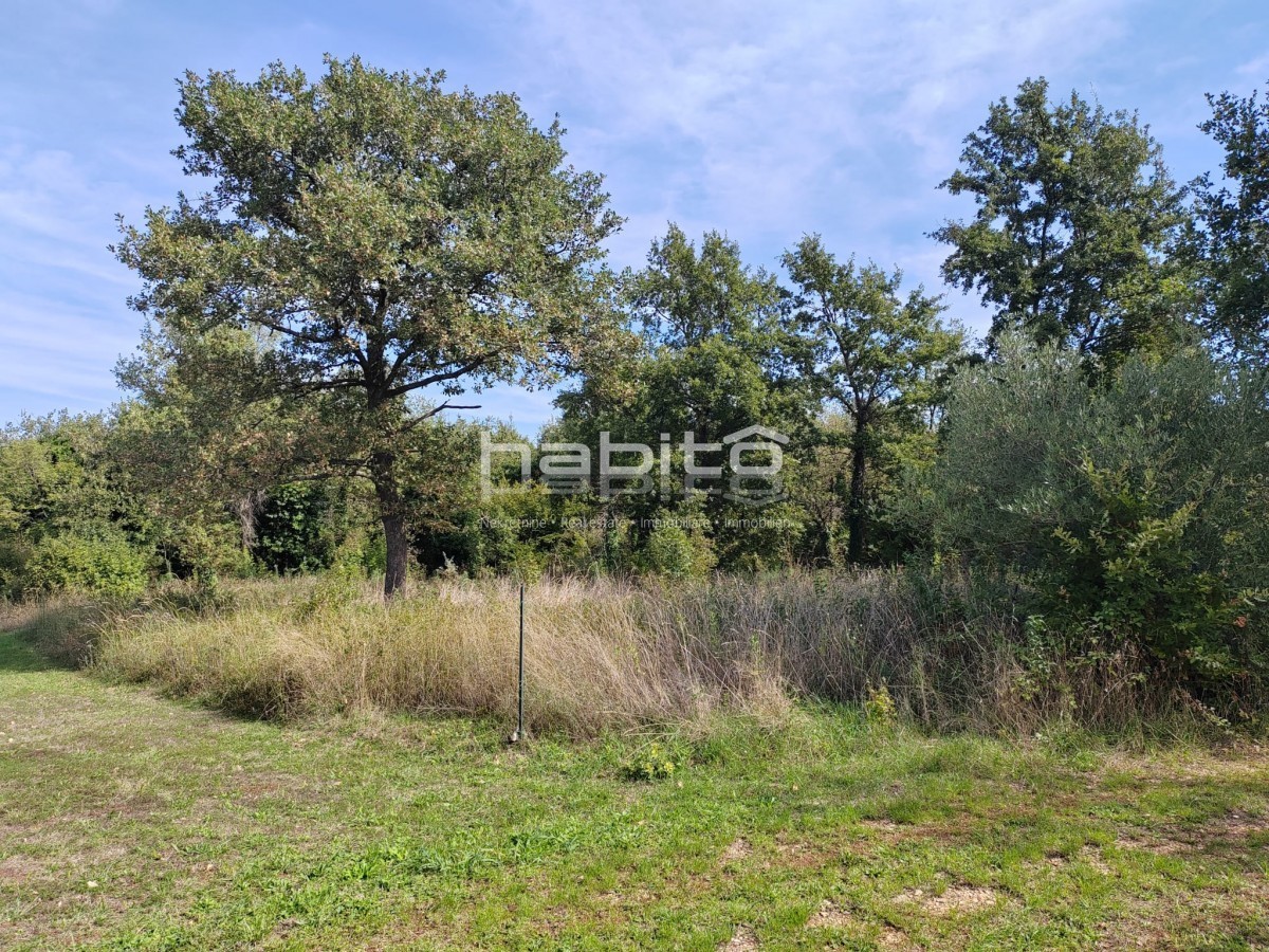Grundstück Zu verkaufen - Istarska Poreč - foto 1/2