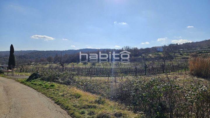 Grundstück Zu verkaufen - Istarska Motovun - foto 5/5