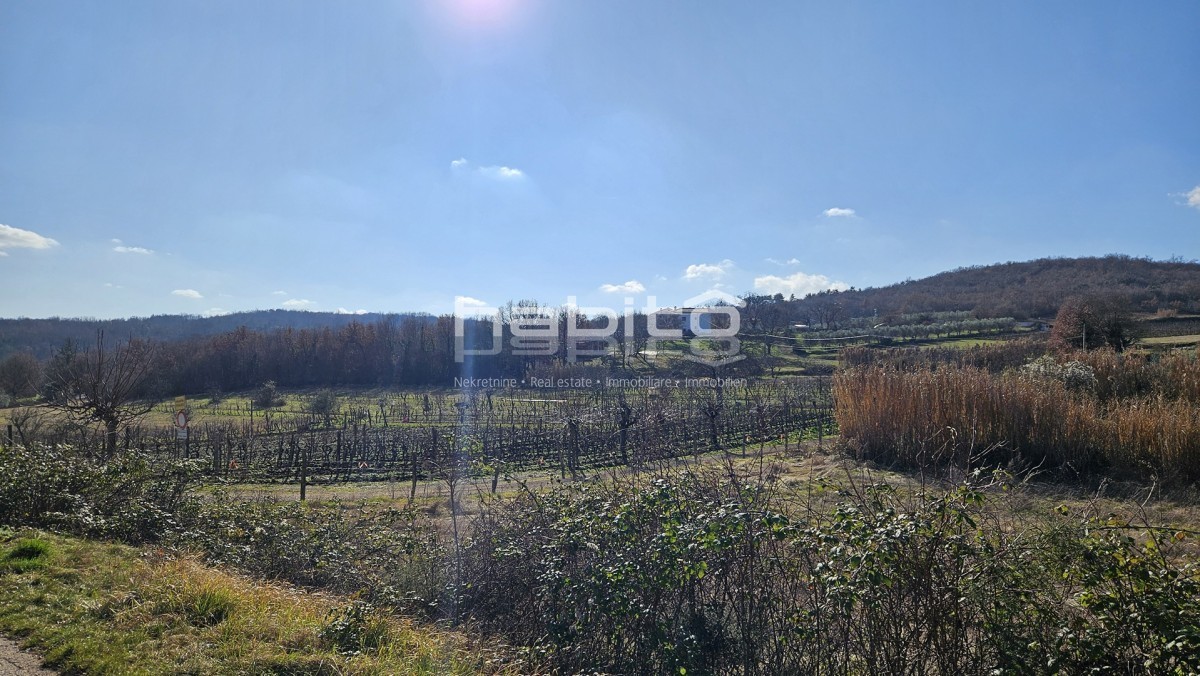 Parcela Na predaj - ISTARSKA MOTOVUN