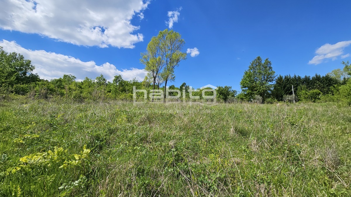 Land For sale - Istarska Poreč - foto 4/7