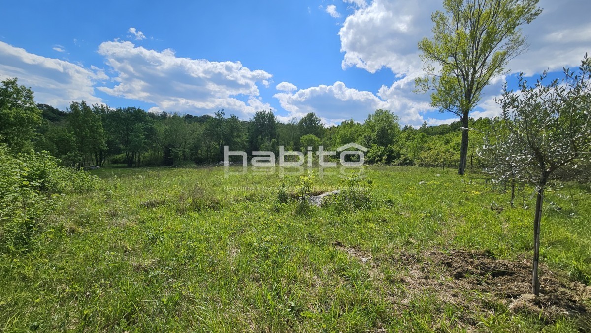 Land For sale - ISTARSKA POREč