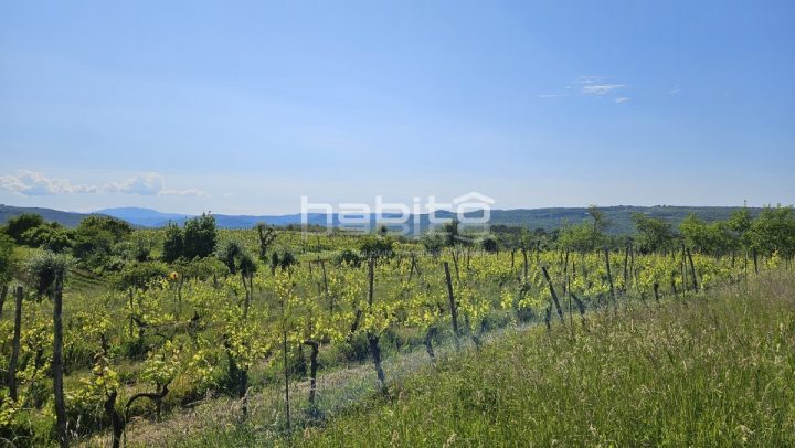 Terreno In vendita - Istarska Grožnjan - foto 2/12