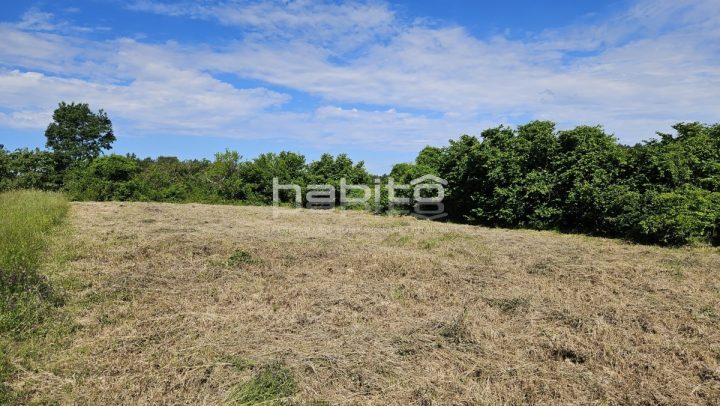 Terreno In vendita - Istarska Grožnjan - foto 3/12