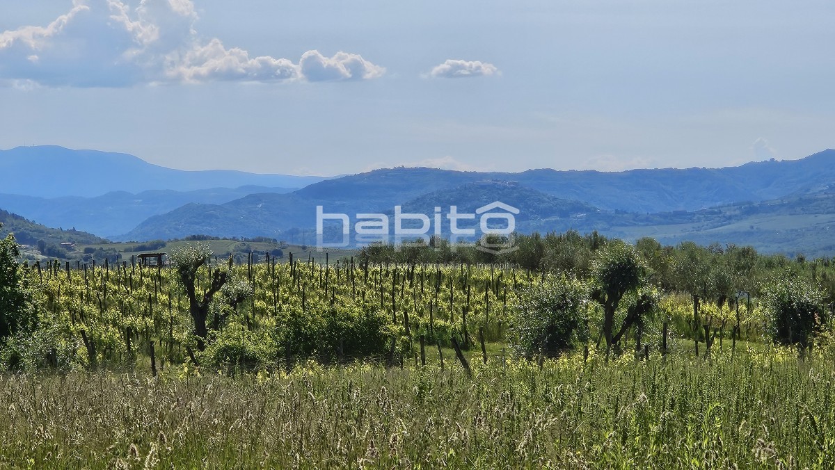 Parcela Na predaj - ISTARSKA GROžNJAN