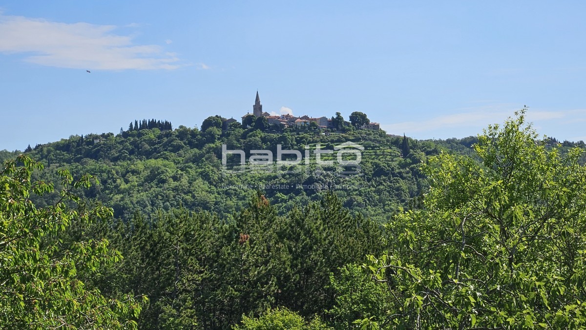 Terreno In vendita - ISTARSKA Grožnjan