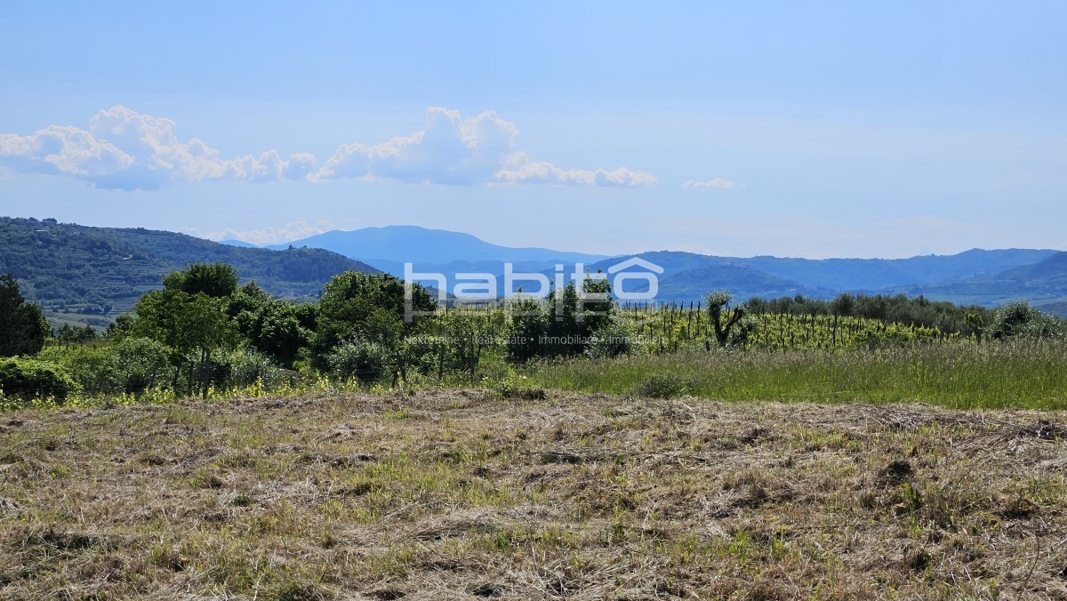 Parcela Na predaj - ISTARSKA GROžNJAN
