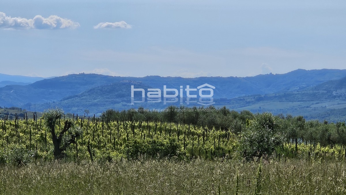 Parcela Na predaj - ISTARSKA GROžNJAN