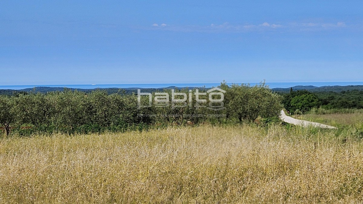Grundstück Zu verkaufen - Istarska Poreč - foto 2/4