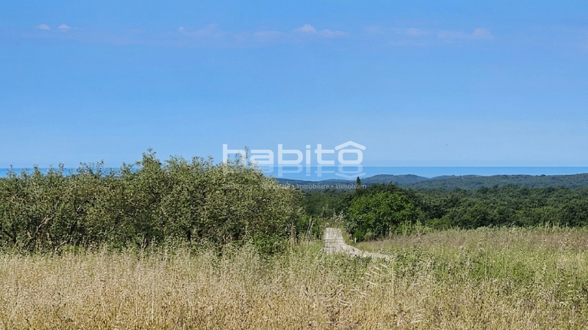 Grundstück Zu verkaufen - Istarska Poreč - foto 3/4