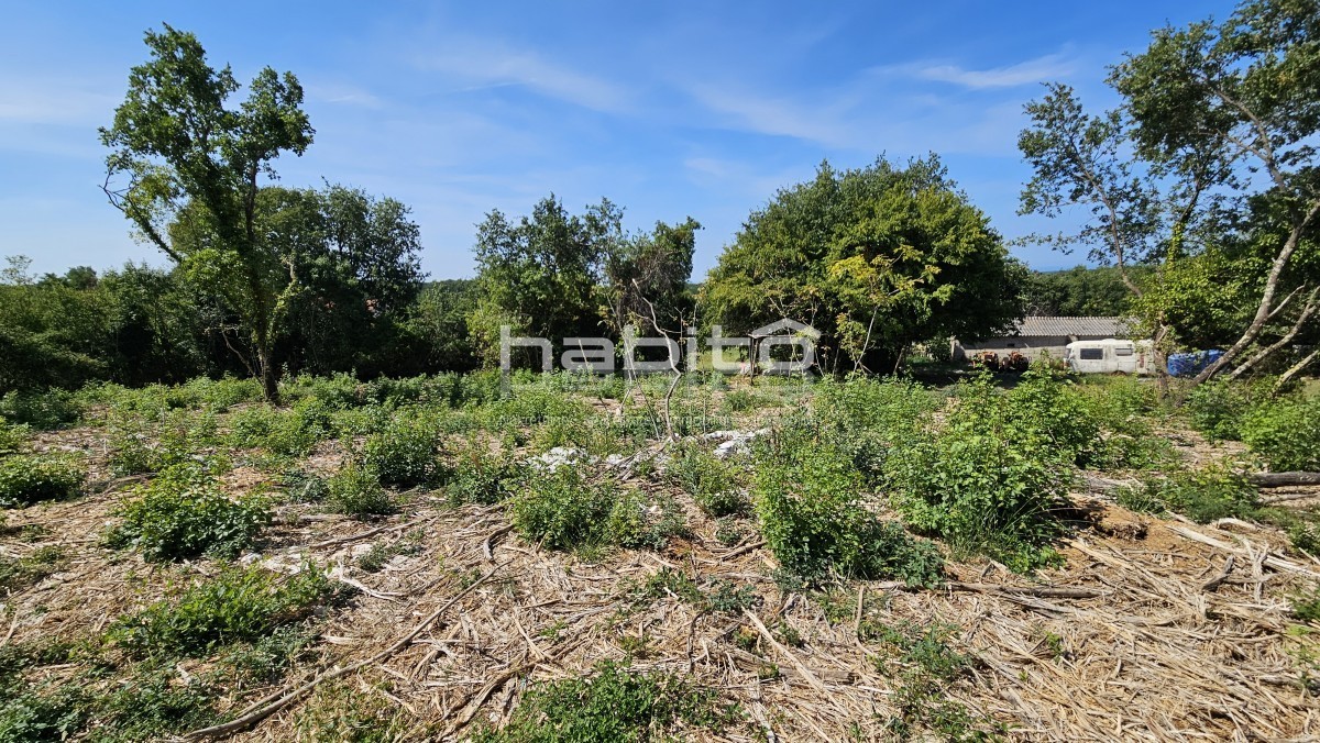 Land For sale - Istarska Višnjan - foto 3/4