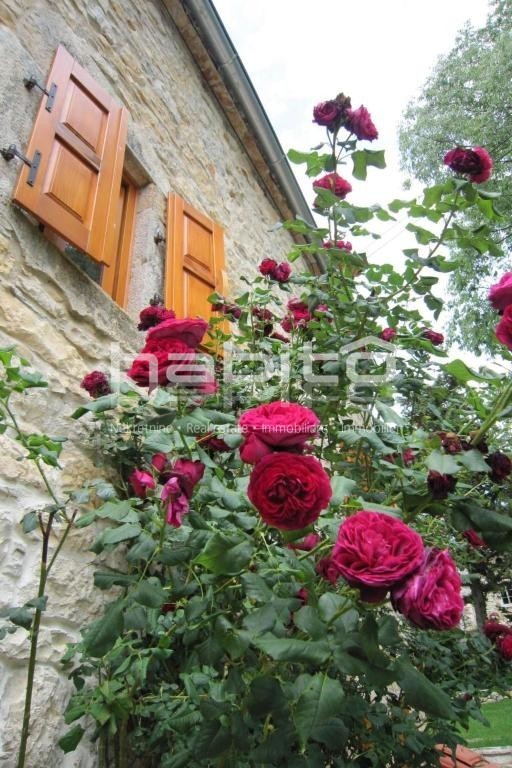 Casa In vendita - ISTARSKA POREč
