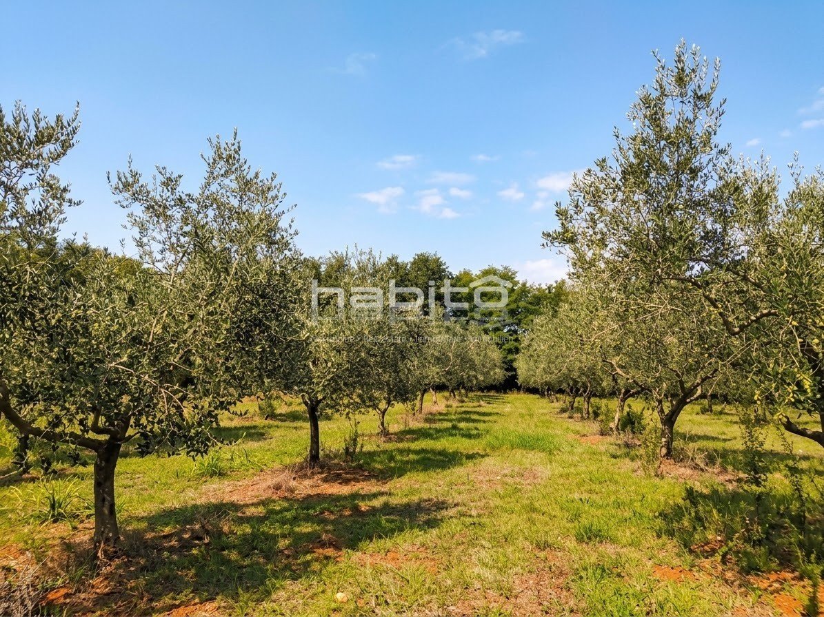 Terreno In vendita - Istarska Poreč - foto 1/5