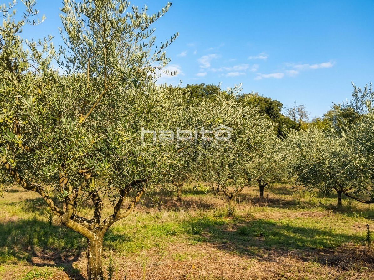 Terreno In vendita - ISTARSKA Poreč