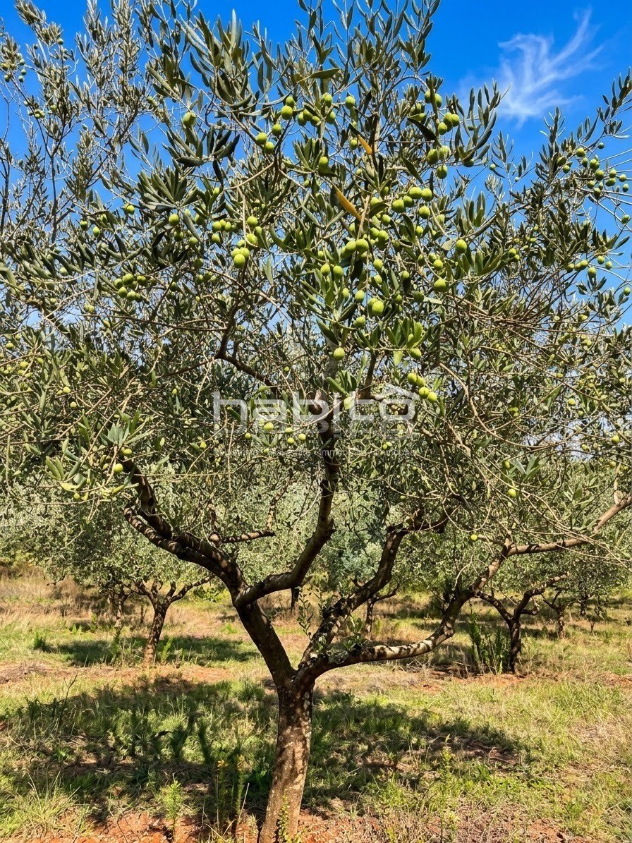 Terreno In vendita - ISTARSKA Poreč