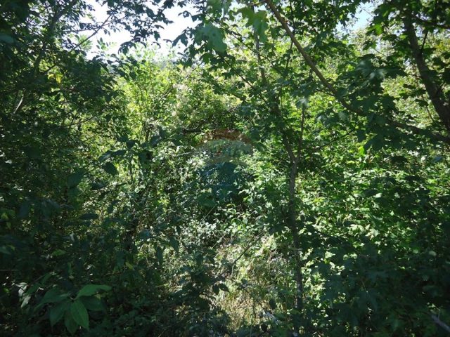 Land For sale - Primorsko-goranska Matulji - foto 3/3