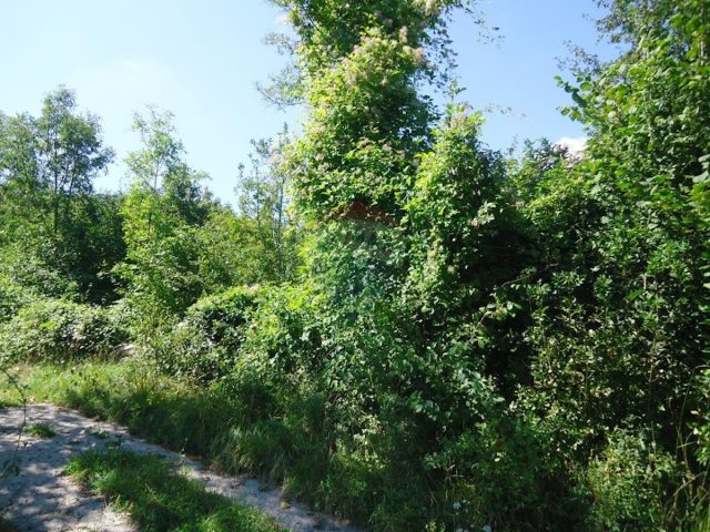 Terrain À vendre - Primorsko-goranska Matulji - foto 4/4