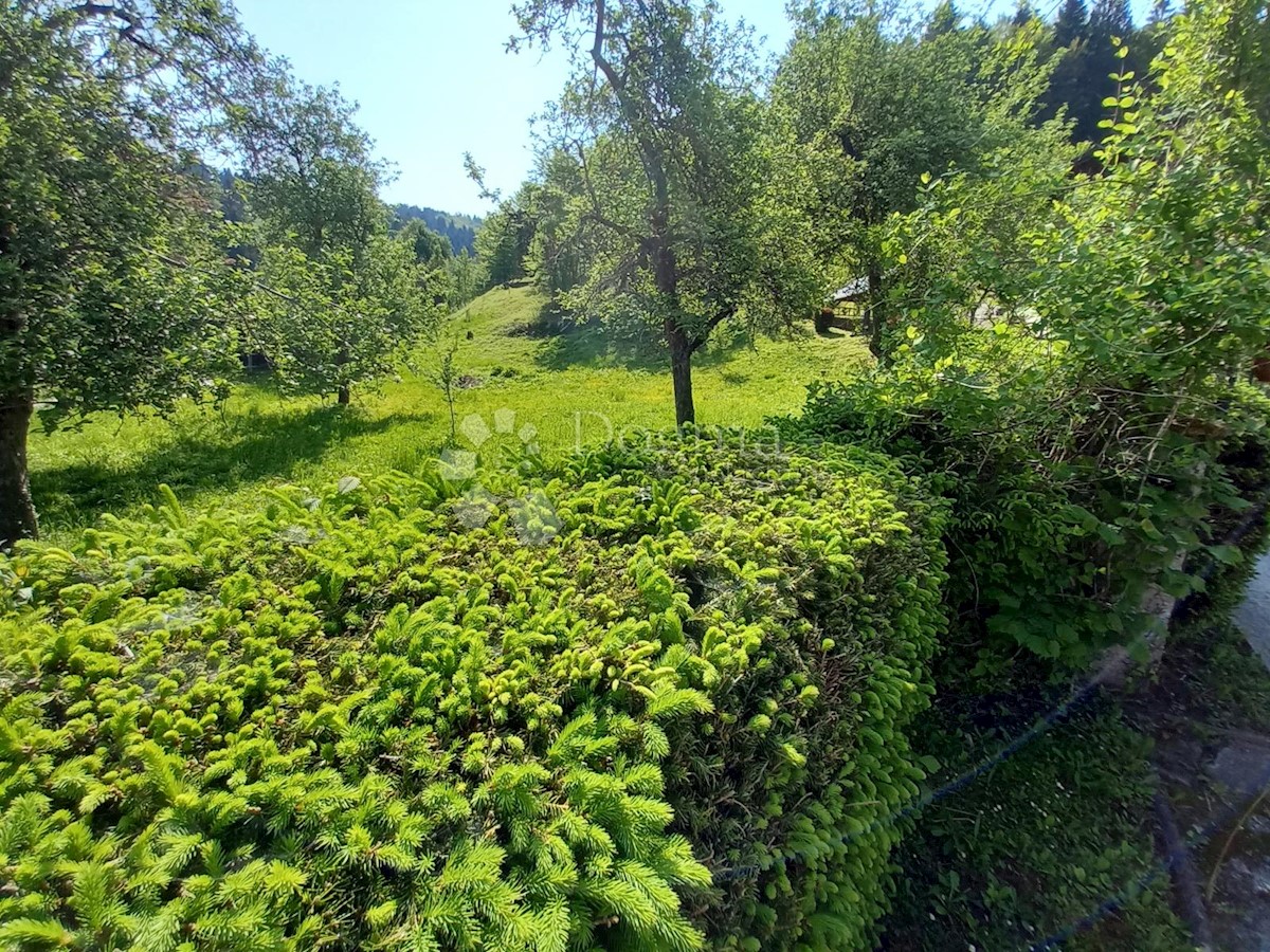 Land For sale - PRIMORSKO-GORANSKA  DELNICE 